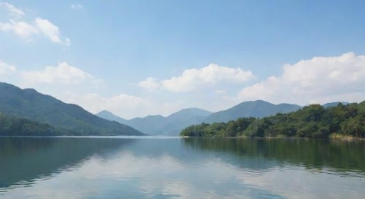 探秘湖南省采购招标网官网首页,一站式采购招标平台的新面貌 探秘湖南省采购招标网官网首页,一站式采购招标平台的新面貌