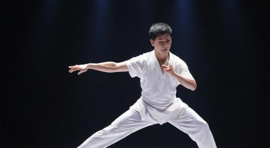 上海武术俱乐部:揭秘上海武术表演,一通电话邀您共赏泓澜文化盛宴 上海武术俱乐部:揭秘上海武术表演,一通电话邀您共赏泓澜文化盛宴